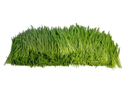 Bio Gras Mix frisch geschnitten