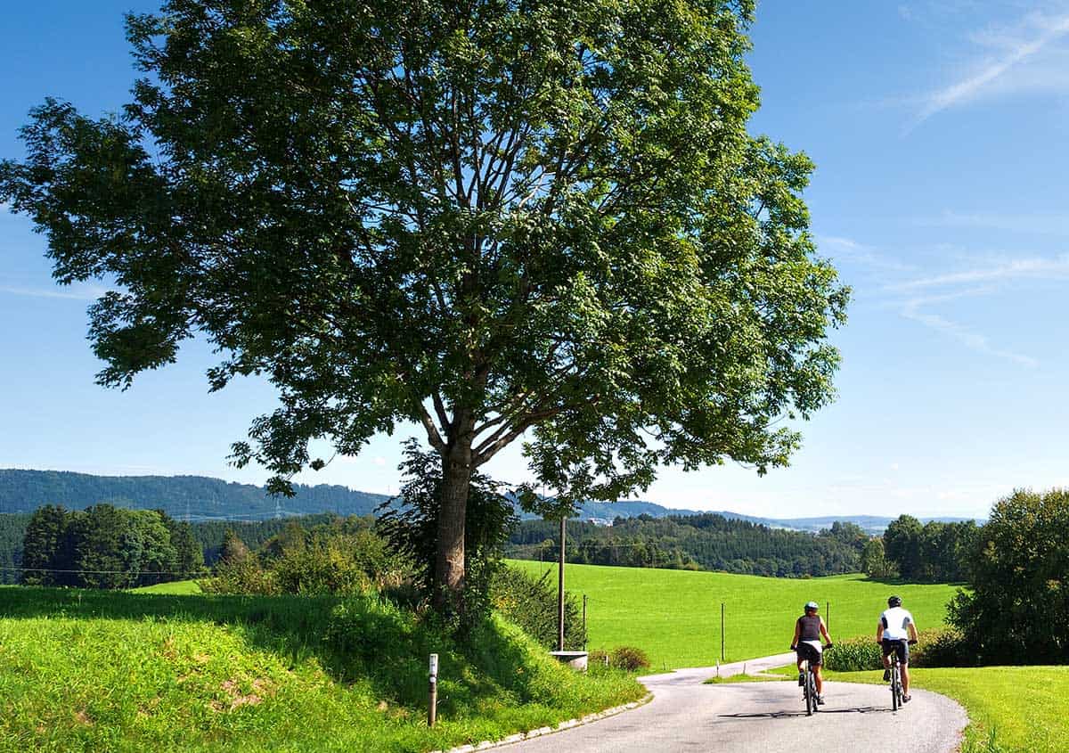 Sport-und-Fitness Sport-und-Fitness