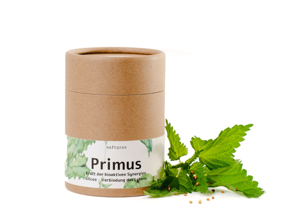 Primus - Brennnessel, Zinnkraut, Braunhirse, Kurkuma Kapseln