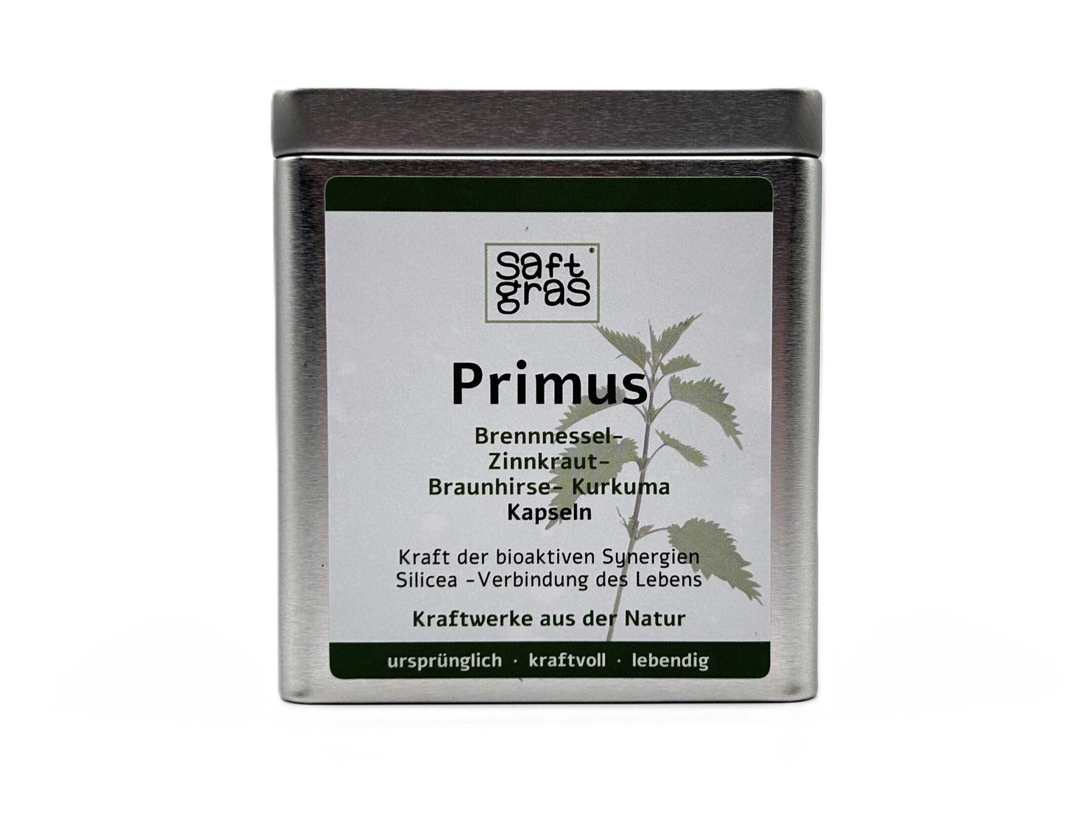 Primus - Brennnessel, Zinnkraut, Braunhirse, Kurkuma Kapseln